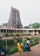 India: The Golden Lotus temple tank, Meenakshi Amman Temple, Madurai, Tamil Nadu